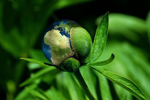 7 Dicas para ter um consumo consciente