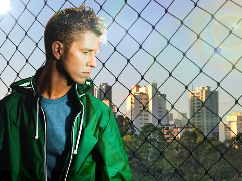 Segurança para Animais: Redes de Janela